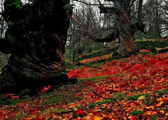 Cr La Cueva Cr-cc-00114 Landhuis Casas del Castañar